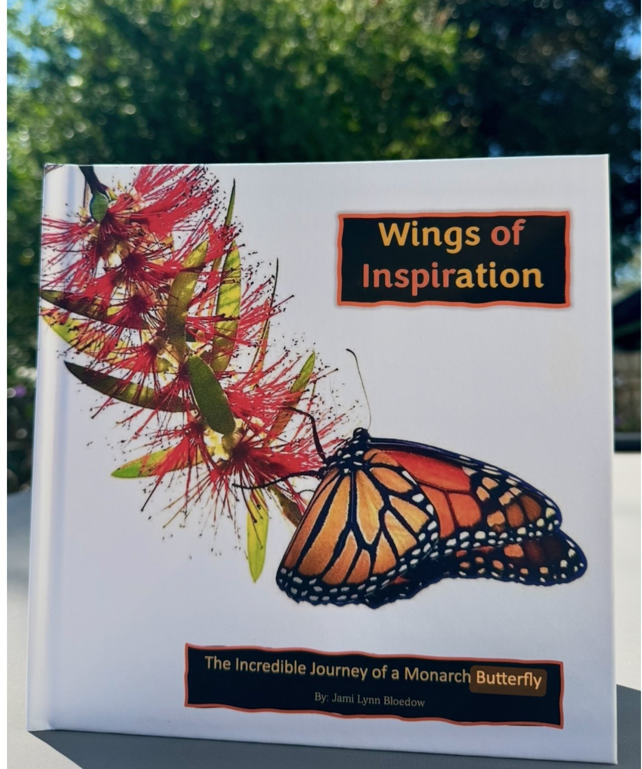 “Wings of Inspiration” Book 